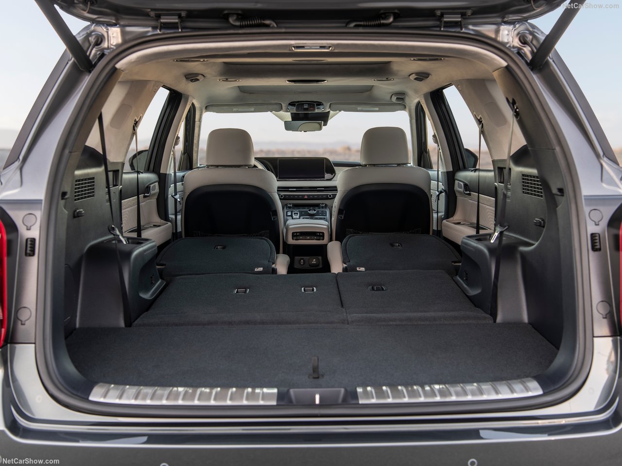 Hyundai Palisade Limited 2023 SUV Drive